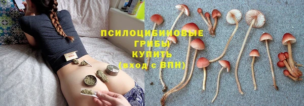 дурь Балахна