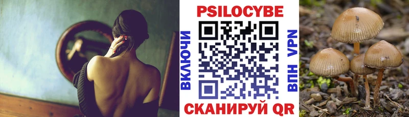 Галлюциногенные грибы GOLDEN TEACHER  Новохопёрск 